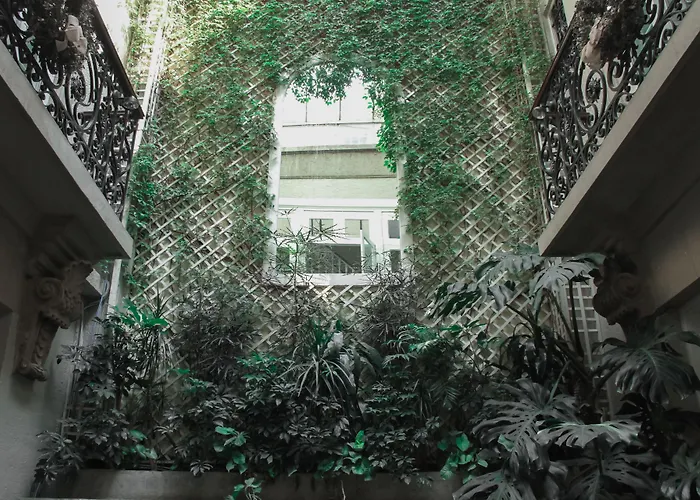 Nima Local House Hotel & Spa México DF